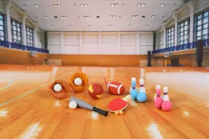 382831 IWAKO SPORTS ERASERS-30