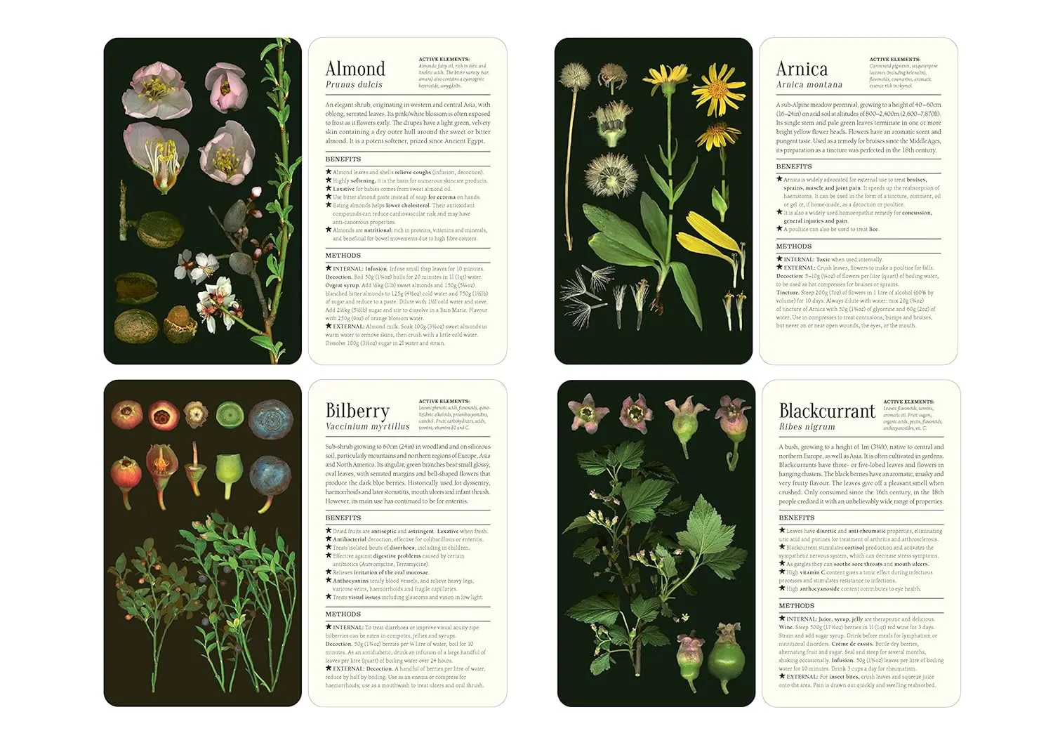 50 Plants That Heal Card Deck