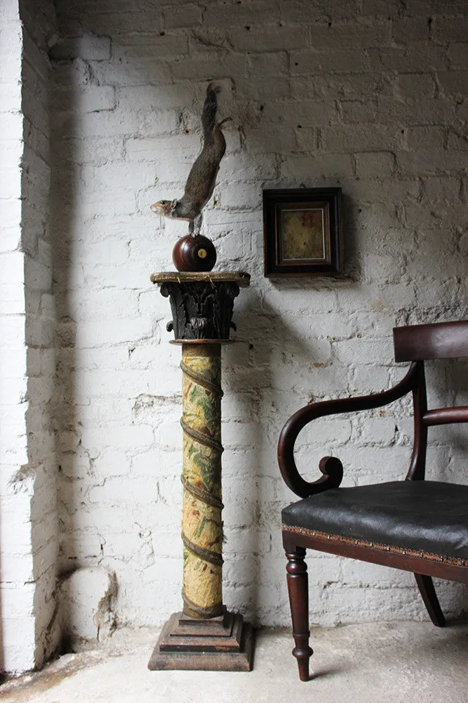 A Contemporary Taxidermy Squirrel Mounted on an Edwardian Period Bowling Bowl