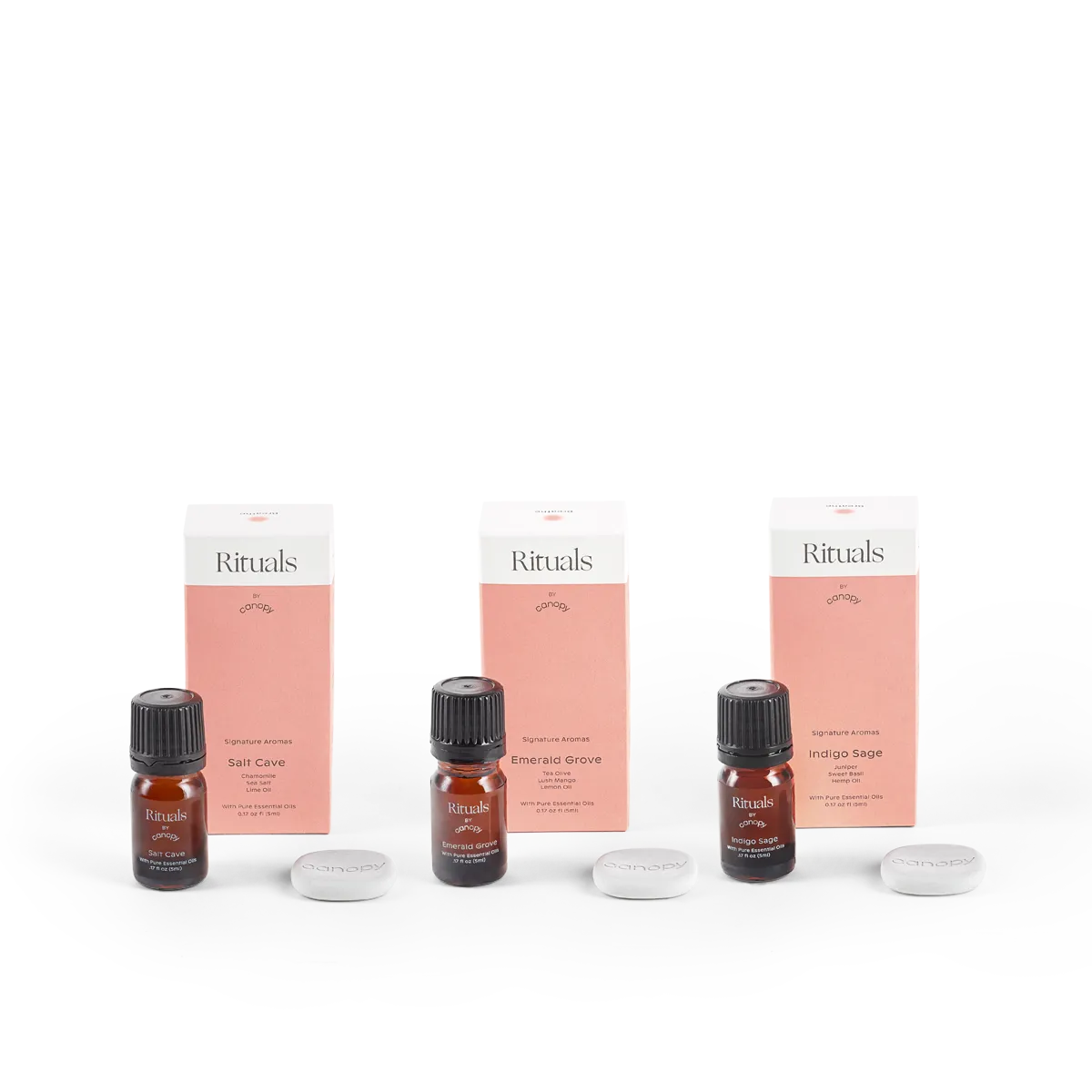 Diffuser Aroma   Well Subscription