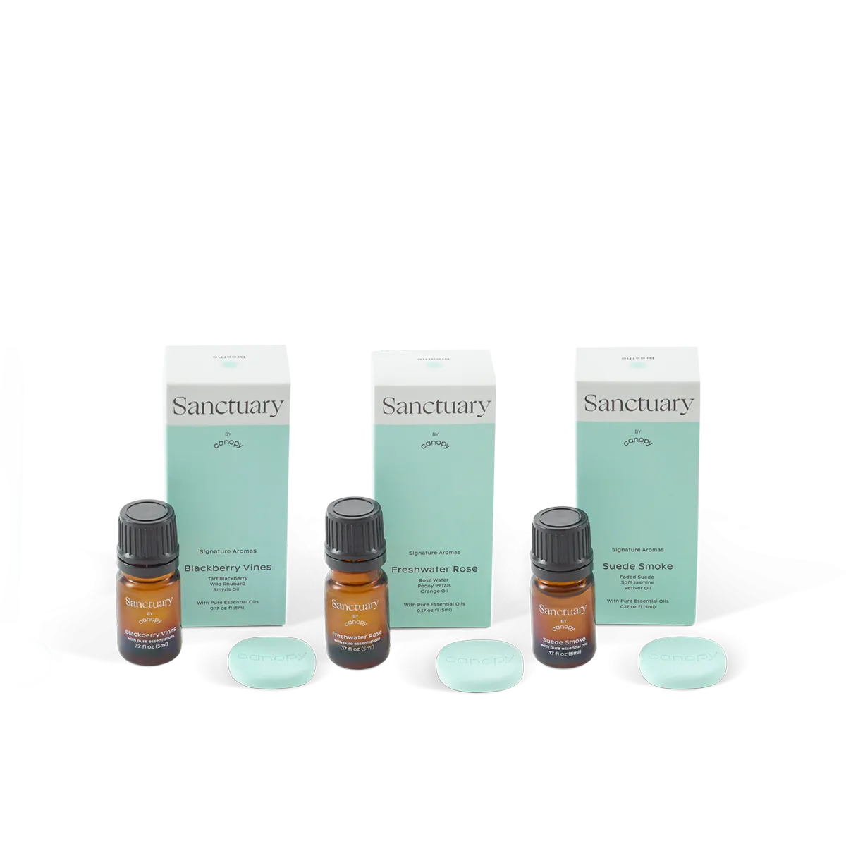 Diffuser Aroma   Well Subscription