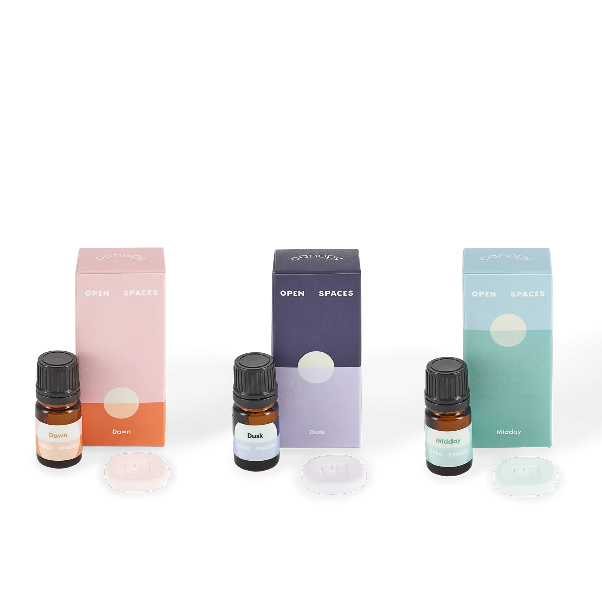 Diffuser Aroma   Well Subscription