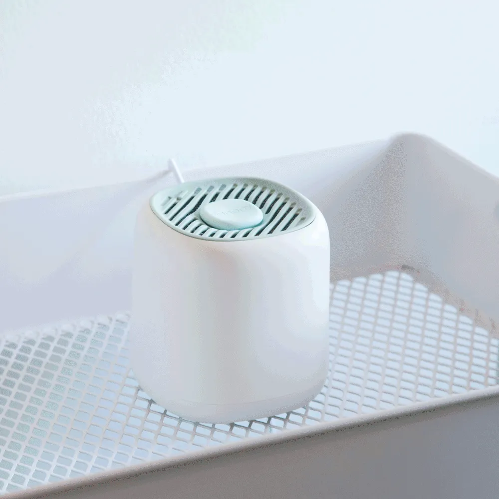 Diffuser Aroma   Well Subscription