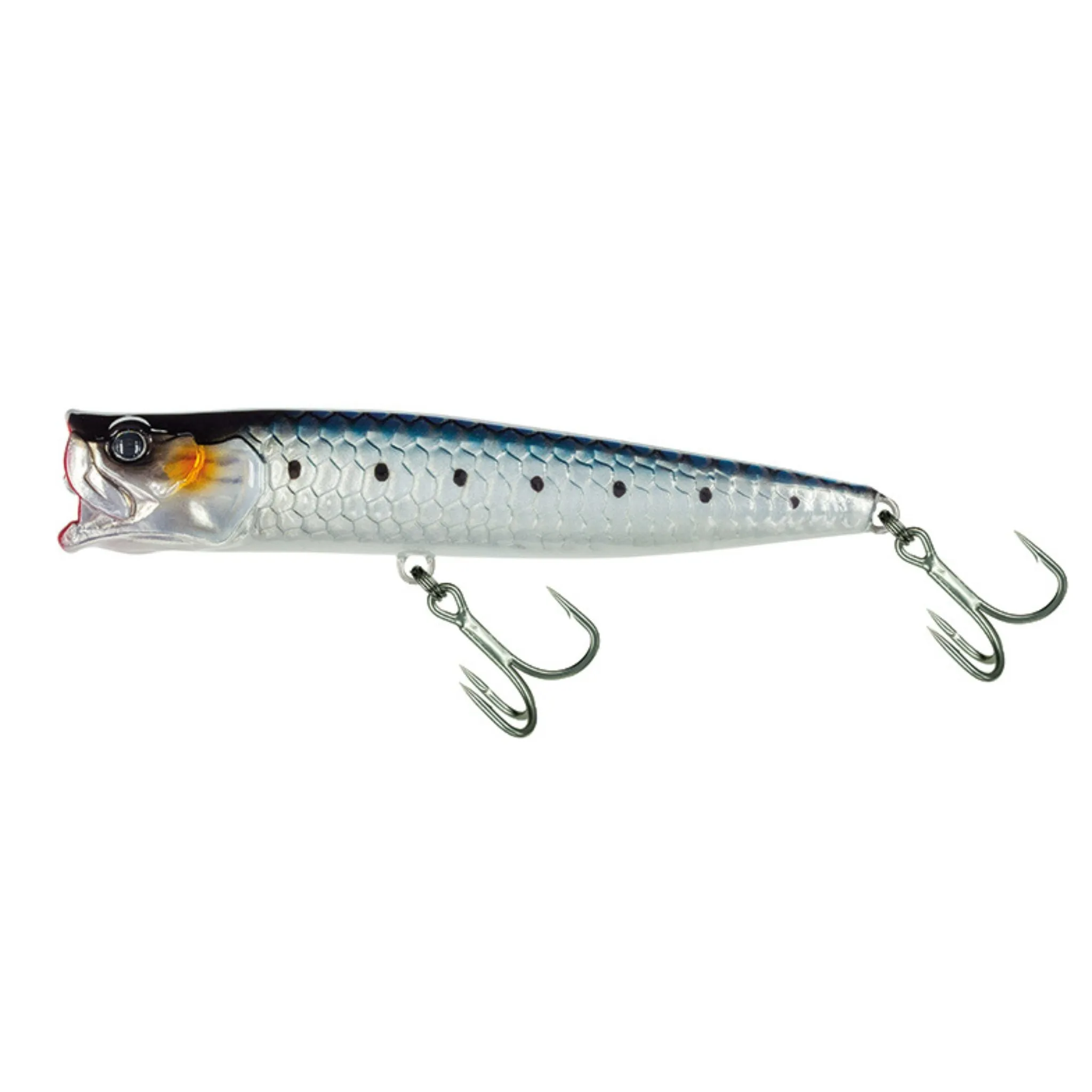 Molix Popper 85T