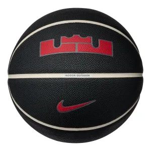 Nike Lebron All Court Basketball