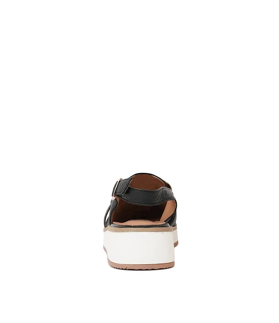 Quivers Black Leather Loafers