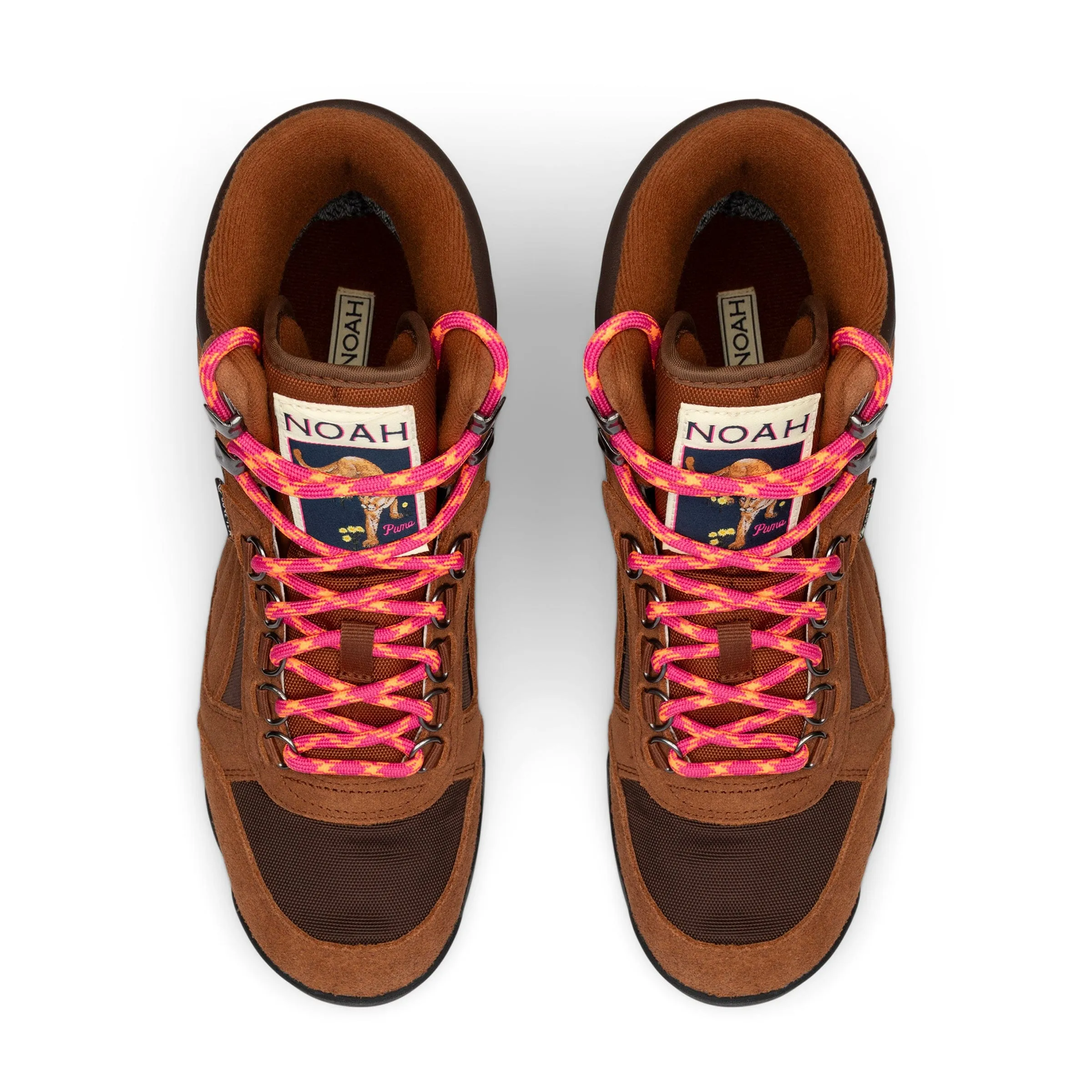 X NOAH RDR BOOT GTX